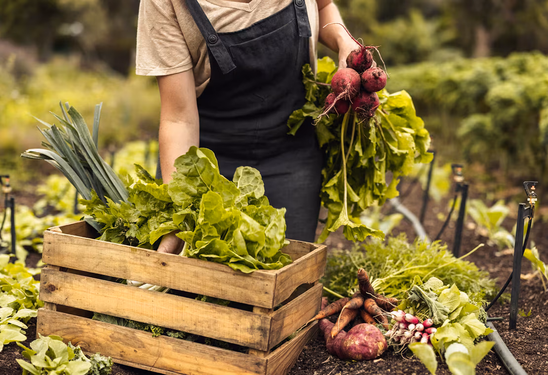 Desperdício zero - uma nova filosofia de vida?