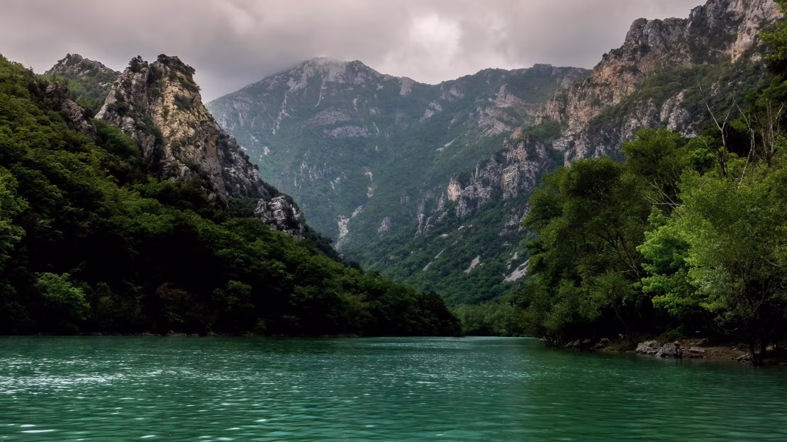 Dia Mundial do Ambiente