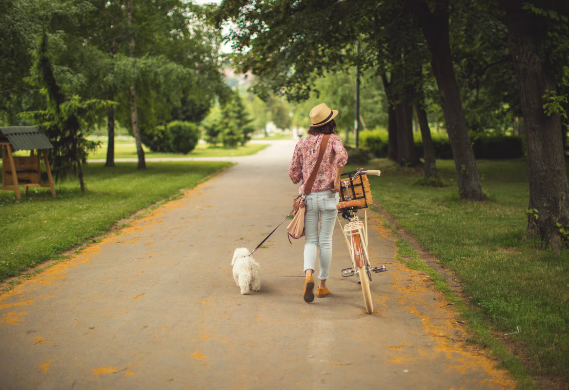 6 dicas para dar às suas finanças pessoais uma primavera mais fresca