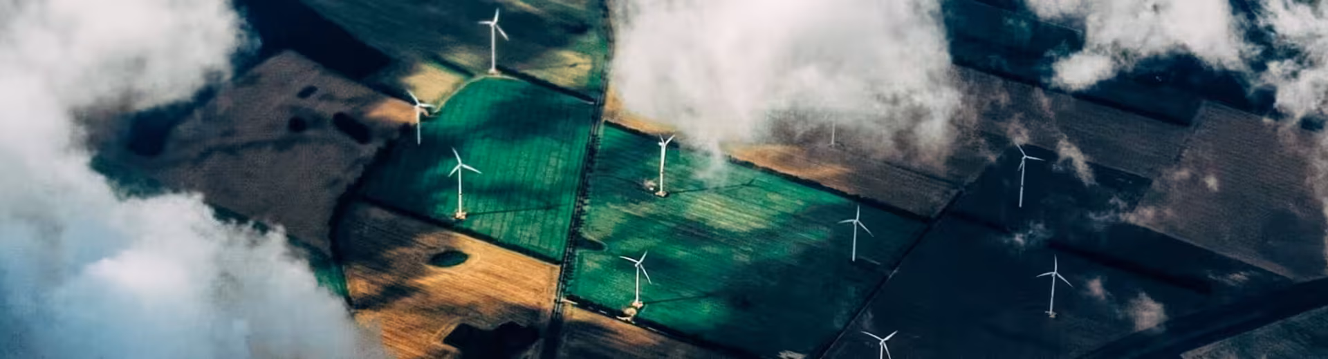 Serviços especializados em todo o mundo