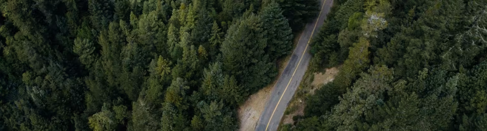 Mudanças climáticas – assumir a responsabilidade a nível empresarial